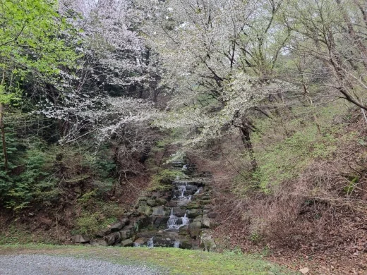 g_56eUd018svcvcz129m8n8ls_e5tzrr.jpg?type=w520