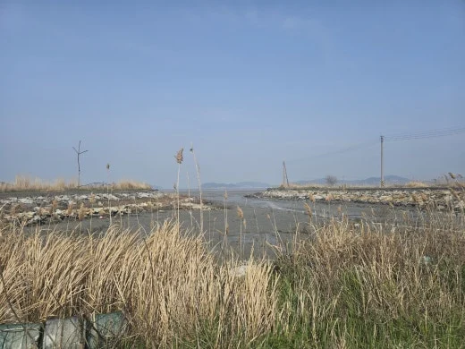 1_78hUd018svc1afyxxficn4d9_1tend1.jpg?type=w520