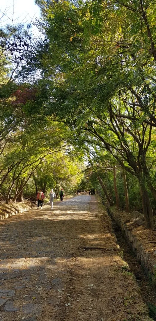 e_d3aUd018svc1j4a8glp6aoej_e5tzrr.jpg?type=w520