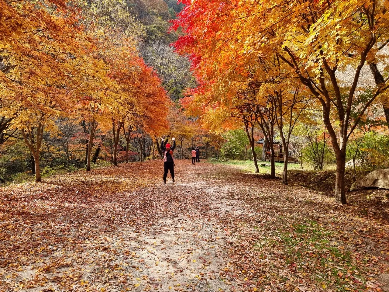 0_80fUd018svc1s7l67wqxpg6r_e5tzrr.jpg?type=e1920_std