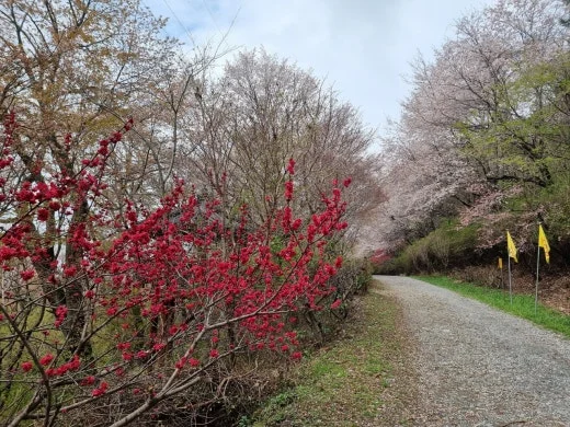 i_46eUd018svc1ntle0hjvx281_e5tzrr.jpg?type=w520