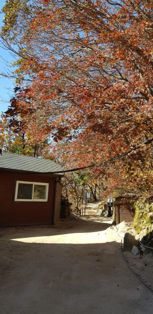 d_d3aUd018svc13yx5bcaa4xfd_e5tzrr.jpg?type=w520