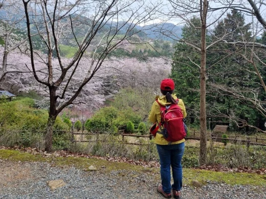 g_a6eUd018svc10v21u9jjqtm7_e5tzrr.jpg?type=w520