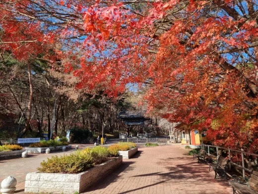 7_j83Ud018svc17o4kz6dbtzug_e5tzrr.jpg?type=w520