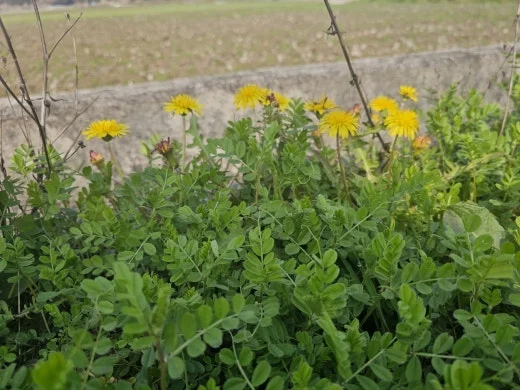 h_b8gUd018svcyk1qbz68srng_1tend1.jpg?type=w520