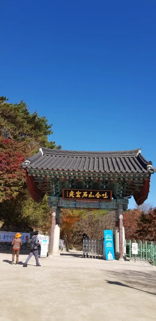 f_43aUd018svcc8k7t8wet2cc_e5tzrr.jpg?type=w520