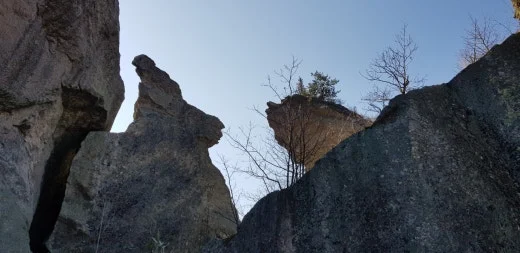 f_61jUd018svc1m925zckauey7_e5tzrr.jpg?type=w520