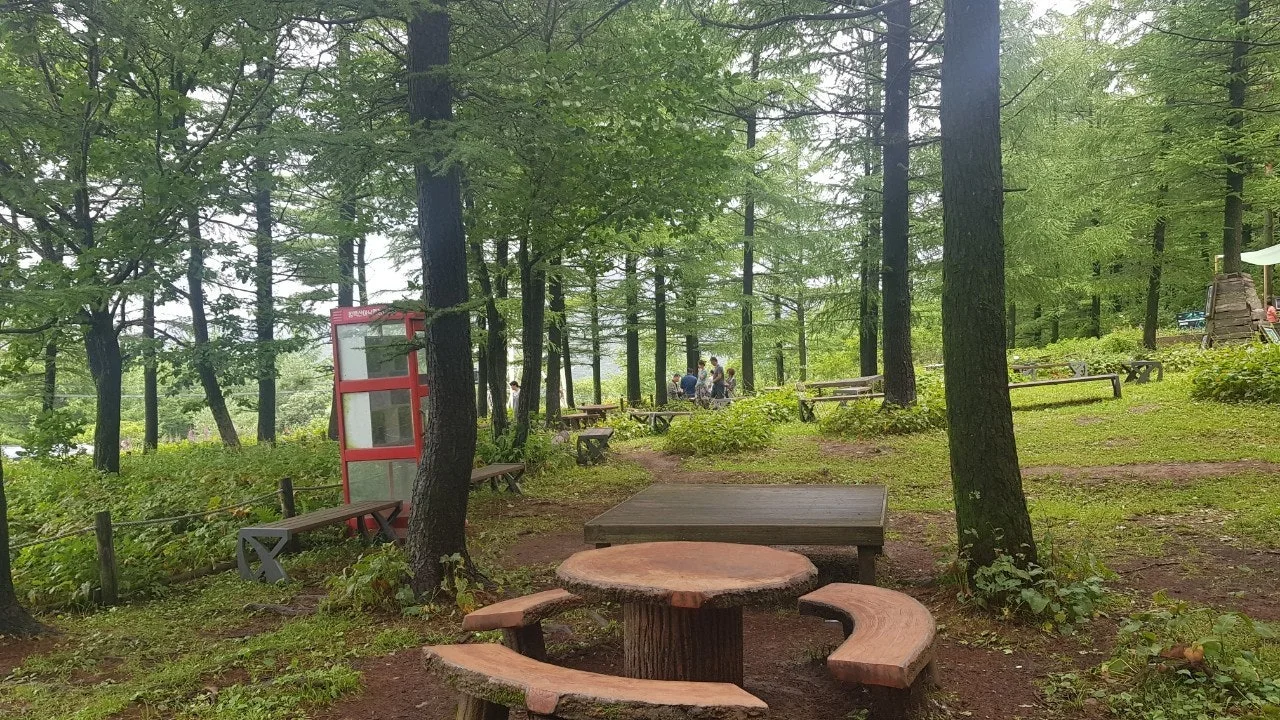 e_746Ud018svc114i18zd3fvzd_e5tzrr.jpg?type=e1920_std