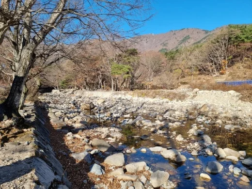 7_j83Ud018svclpsdg3in7sxt_e5tzrr.jpg?type=w520