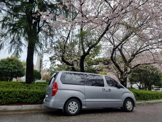 h_66eUd018svc1o5gnrf4rrdx8_e5tzrr.jpg?type=w520