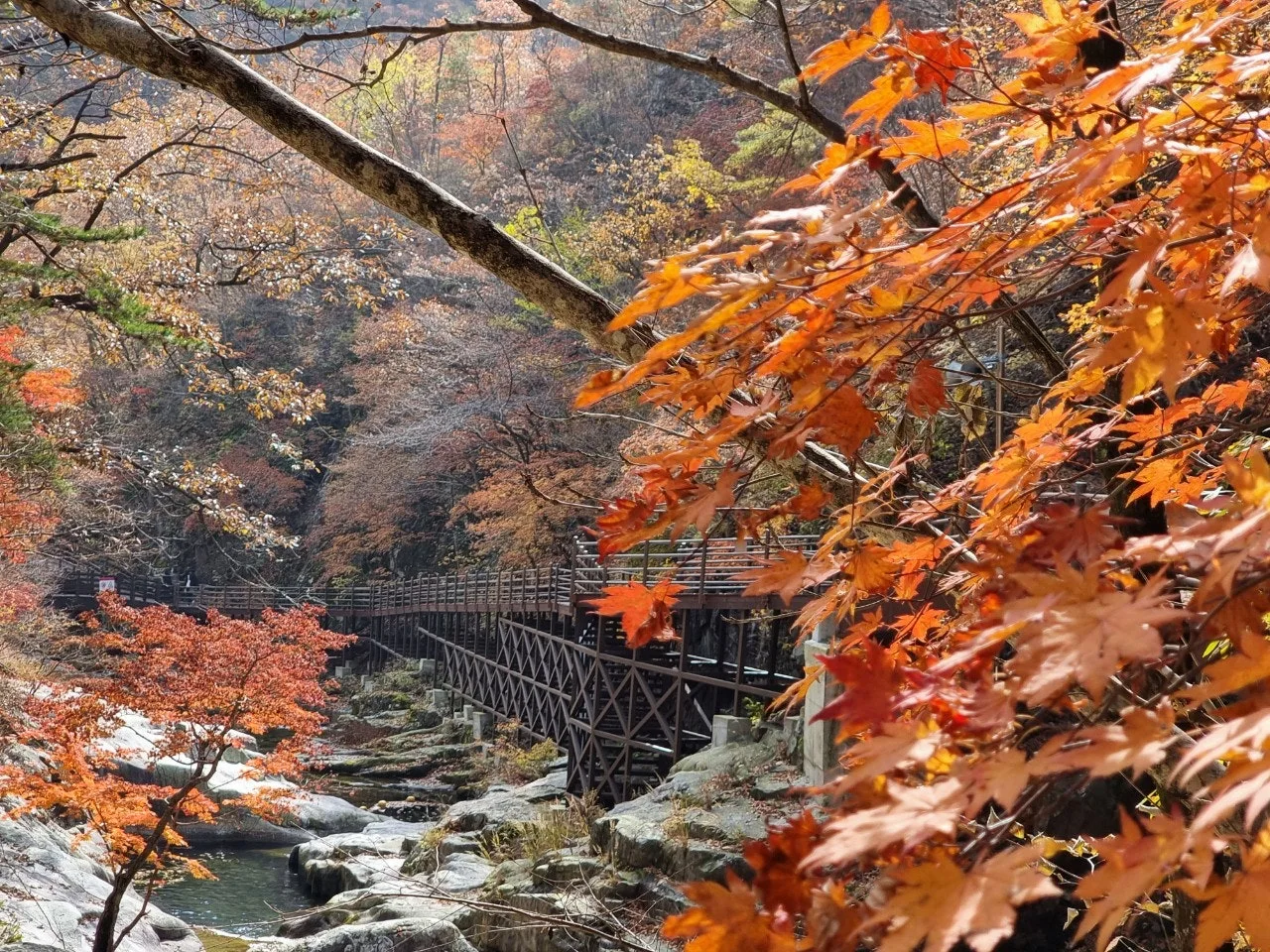 1_70fUd018svcn6450wbd8gug_e5tzrr.jpg?type=e1920_std