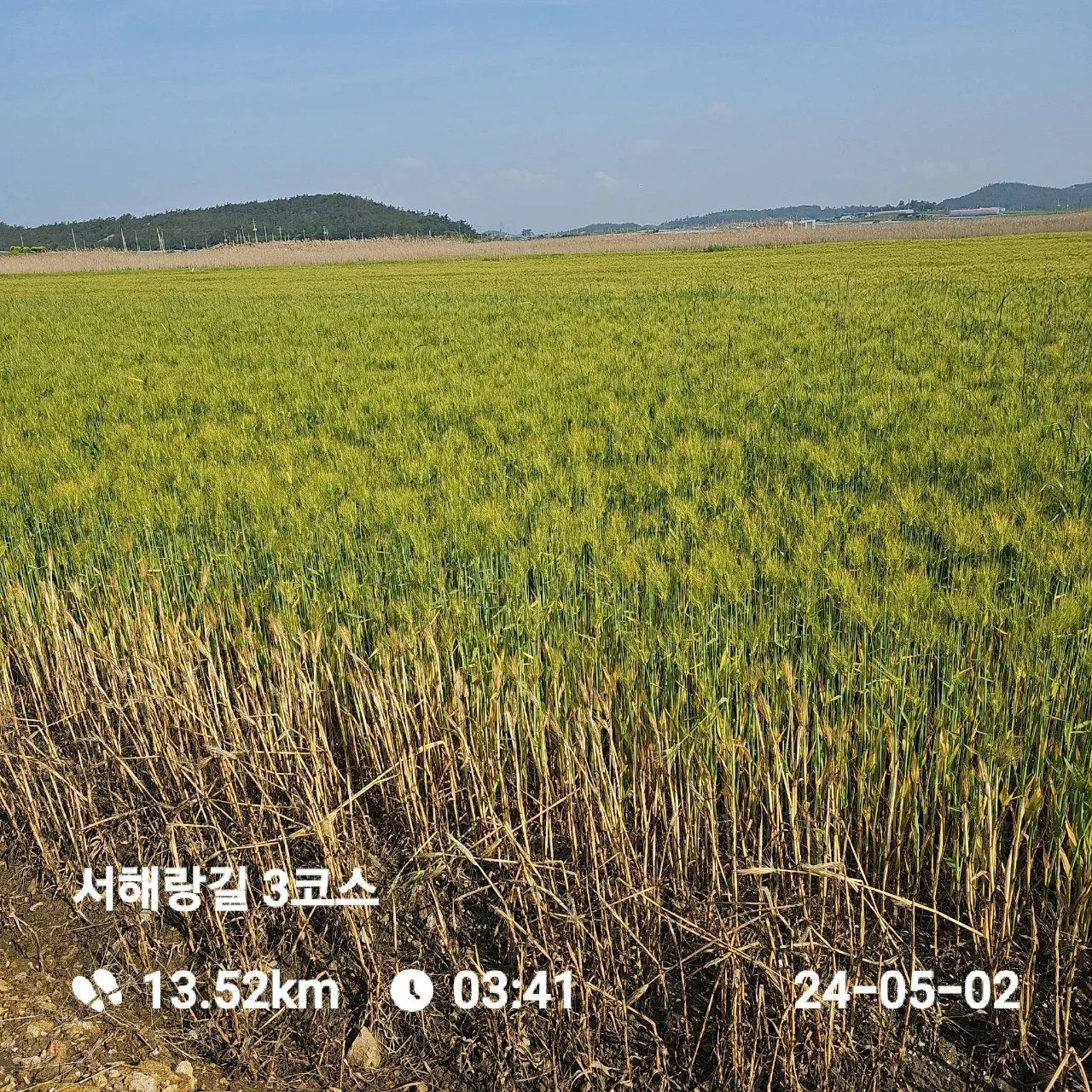 i_13eUd018svcqjyt64gv0cjo_1tend1.jpg?type=e1920_std