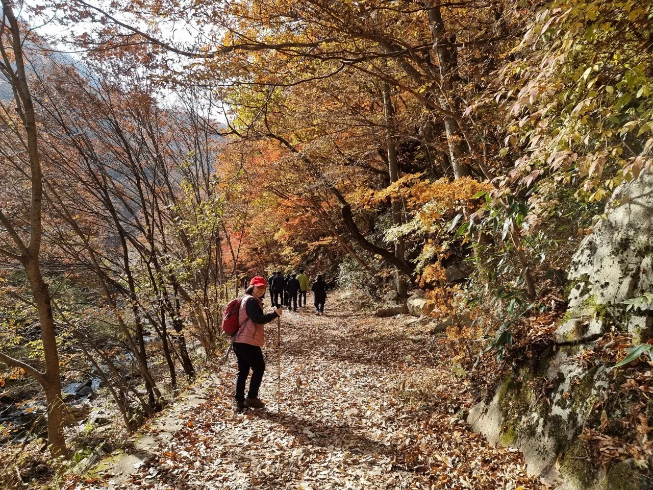 1_50fUd018svc128nddffbiay8_e5tzrr.jpg?type=e1920_std