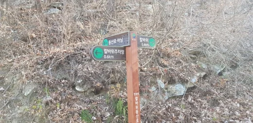 f_d1jUd018svc1qs9xwzgml3di_e5tzrr.jpg?type=w520