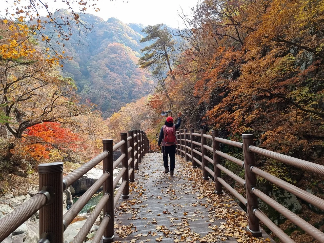 1_80fUd018svcr00ongahk98r_e5tzrr.jpg?type=e1920_std