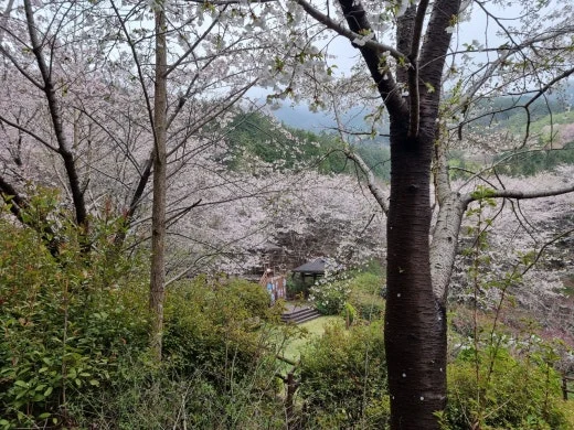 g_86eUd018svcgvn1wucj34wh_e5tzrr.jpg?type=w520