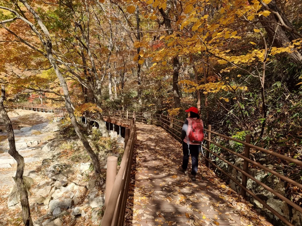 1_50fUd018svc1u0ezj5ysf6z4_e5tzrr.jpg?type=e1920_std