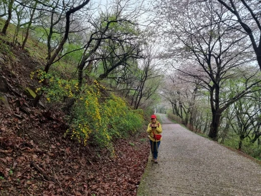 h_96eUd018svc18y8q0j1yid37_e5tzrr.jpg?type=w520