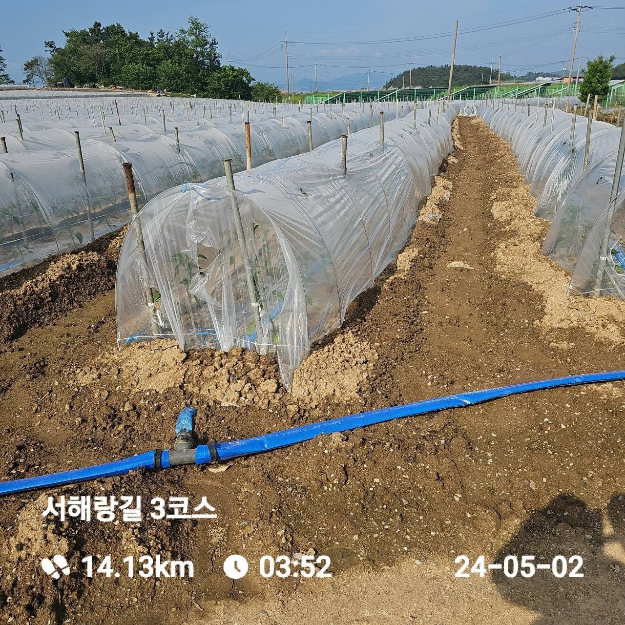 1_93fUd018svc1jaqqgbyvwpxo_1tend1.jpg?type=e1920_std