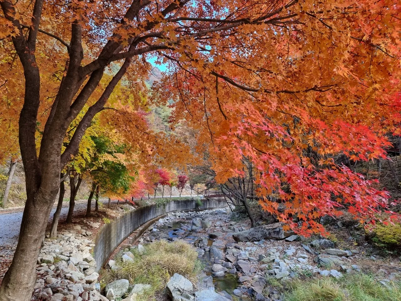 0_d0fUd018svclib3ois0xzyc_e5tzrr.jpg?type=e1920_std