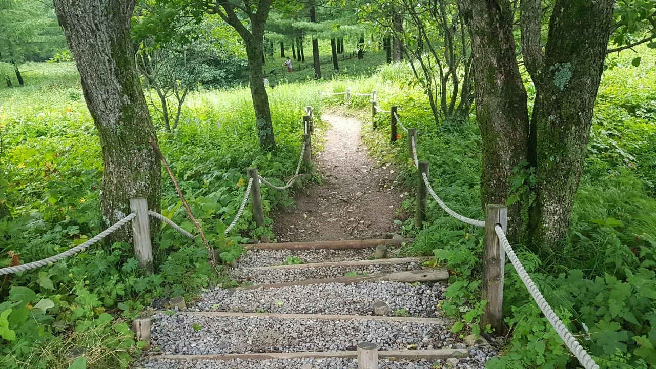 e_746Ud018svc120ru1bklbpag_e5tzrr.jpg?type=e1920_std