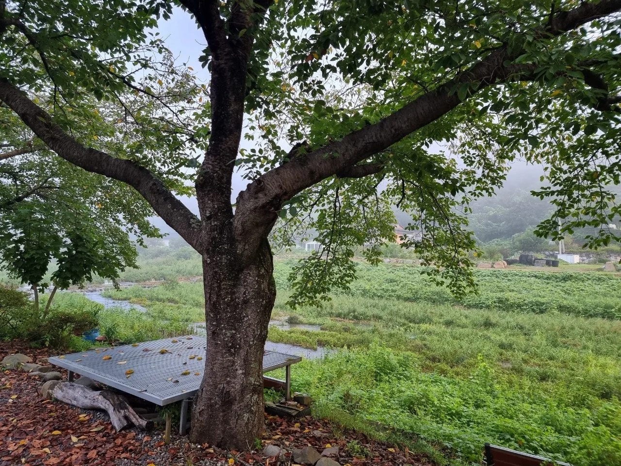 a_0j3Ud018svc1qdm06xmskc77_e5tzrr.jpg?type=e1920_std