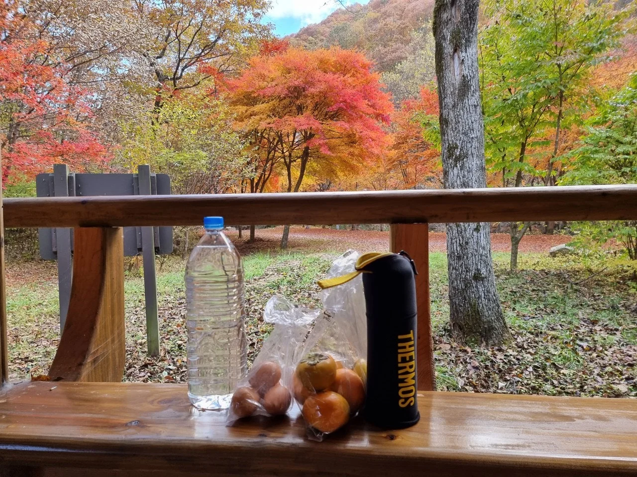 0_i0fUd018svcbt1r0cduzll7_e5tzrr.jpg?type=e1920_std