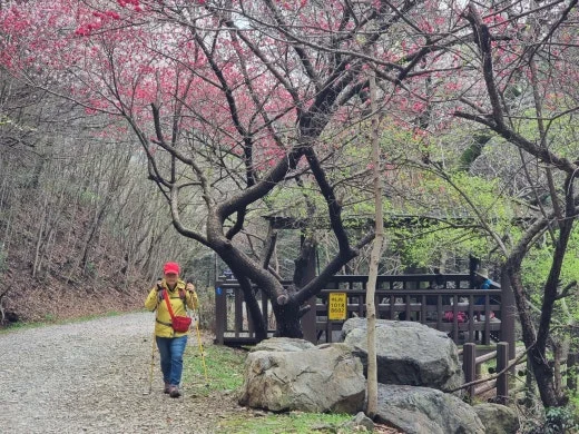 f_26eUd018svc18y4m4oriwi8s_e5tzrr.jpg?type=w520