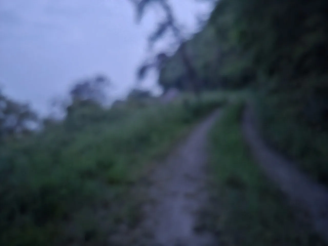 1_83fUd018svcp5qg3lb2grh3_1tend1.jpg?type=e1920_std