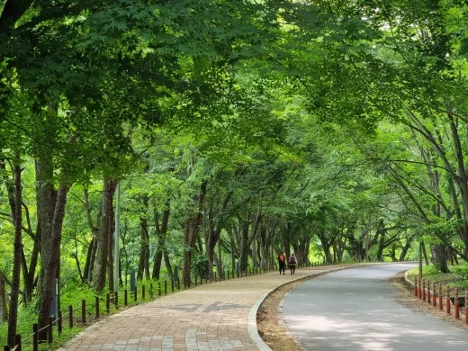 6_05hUd018svc148lg60qkl3ai_e5tzrr.jpg?type=w520