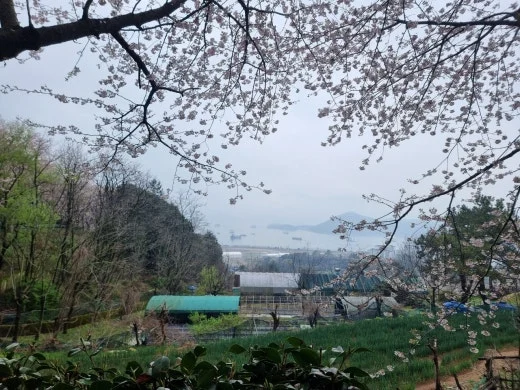 h_76eUd018svc1wgipjrf5s8ft_e5tzrr.jpg?type=w520