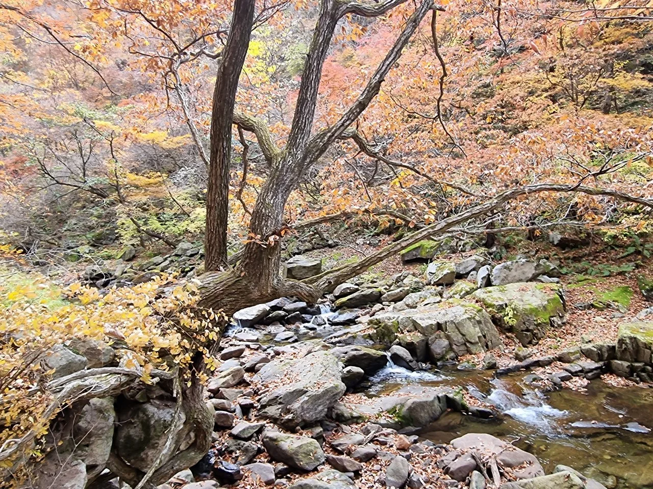 1_00fUd018svcvc08gcotp75h_e5tzrr.jpg?type=e1920_std