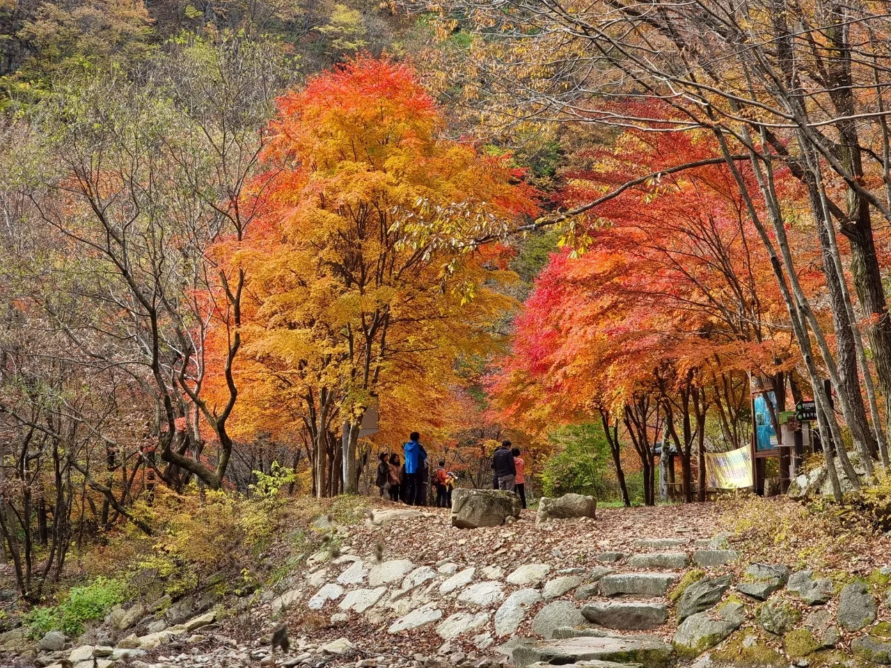 1_b0fUd018svcaxqlzuu2ncyb_e5tzrr.jpg?type=e1920_std