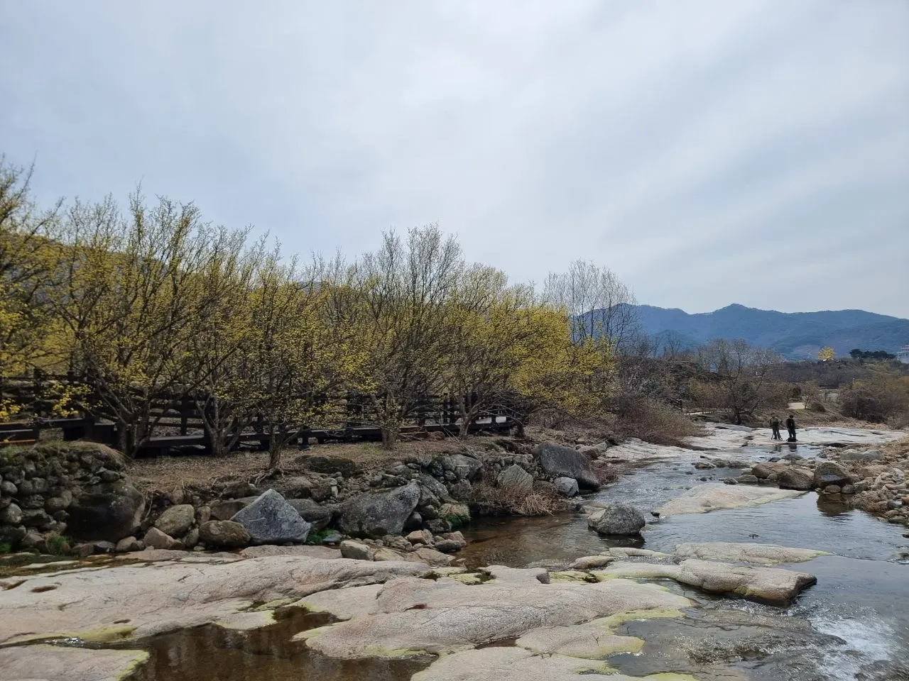 h_9c9Ud018svczmcnr66acpkf_e5tzrr.jpg?type=e1920_std