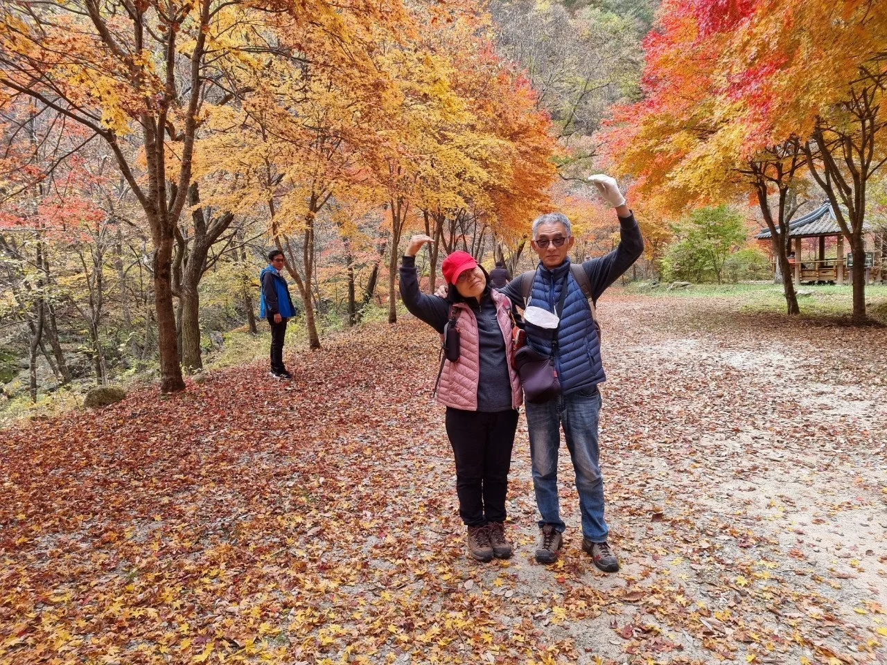 0_50fUd018svc14v190e85tnds_e5tzrr.jpg?type=e1920_std