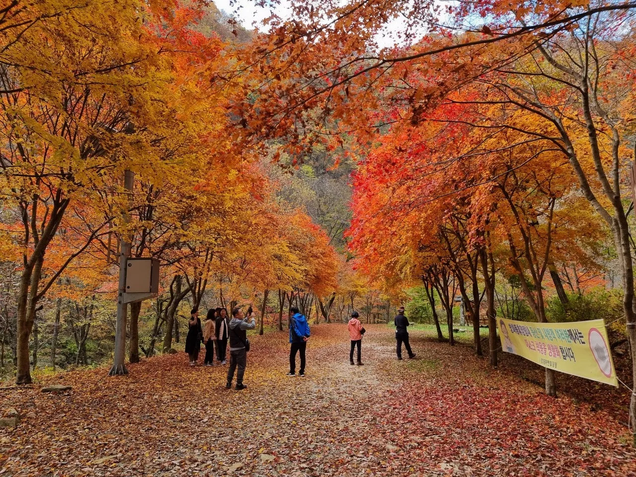 0_40fUd018svc2njxawe649uv_e5tzrr.jpg?type=e1920_std