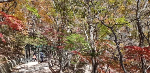 f_23aUd018svcpgvac8ojpy17_e5tzrr.jpg?type=w520