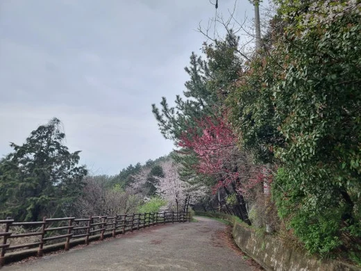 i_06eUd018svcxnm8df092ld4_e5tzrr.jpg?type=w520