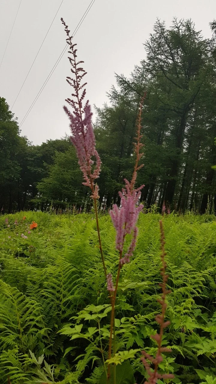 e_646Ud018svctzbe2d9dvisf_e5tzrr.jpg?type=e1920_std