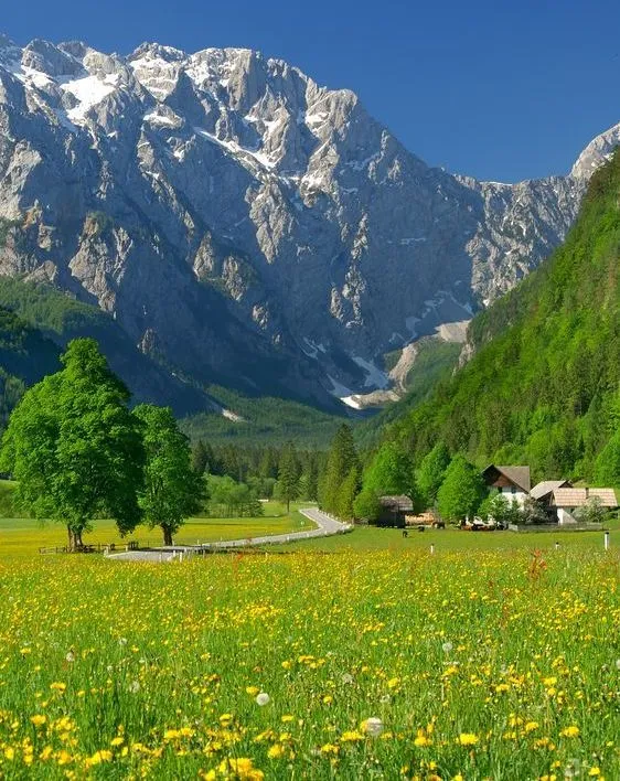 _ - 2024-06-14T235810.581.jpeg