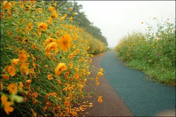 1000010022.jpg?type=w580