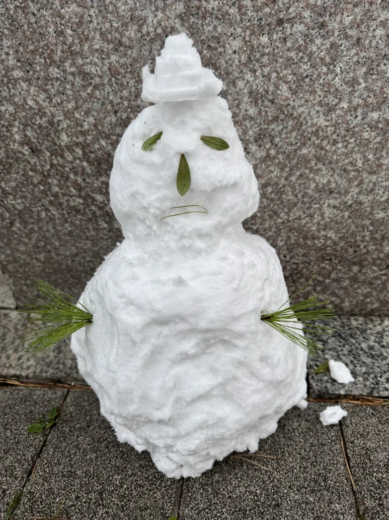 KakaoTalk_Photo_2024-11-27-19-58-43.jpeg?type=w773