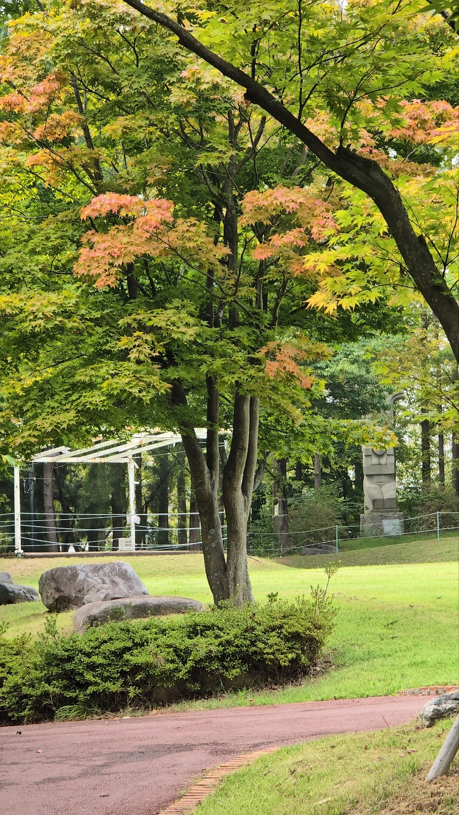 8. 라한호텔셀렉트, 경주숙소추천, 경주호텔추천, 경주여행숙소, 라한호텔수영장, 라한호텔조식oTalk_Photo_2024-10-09-23-13-08 003.jpeg