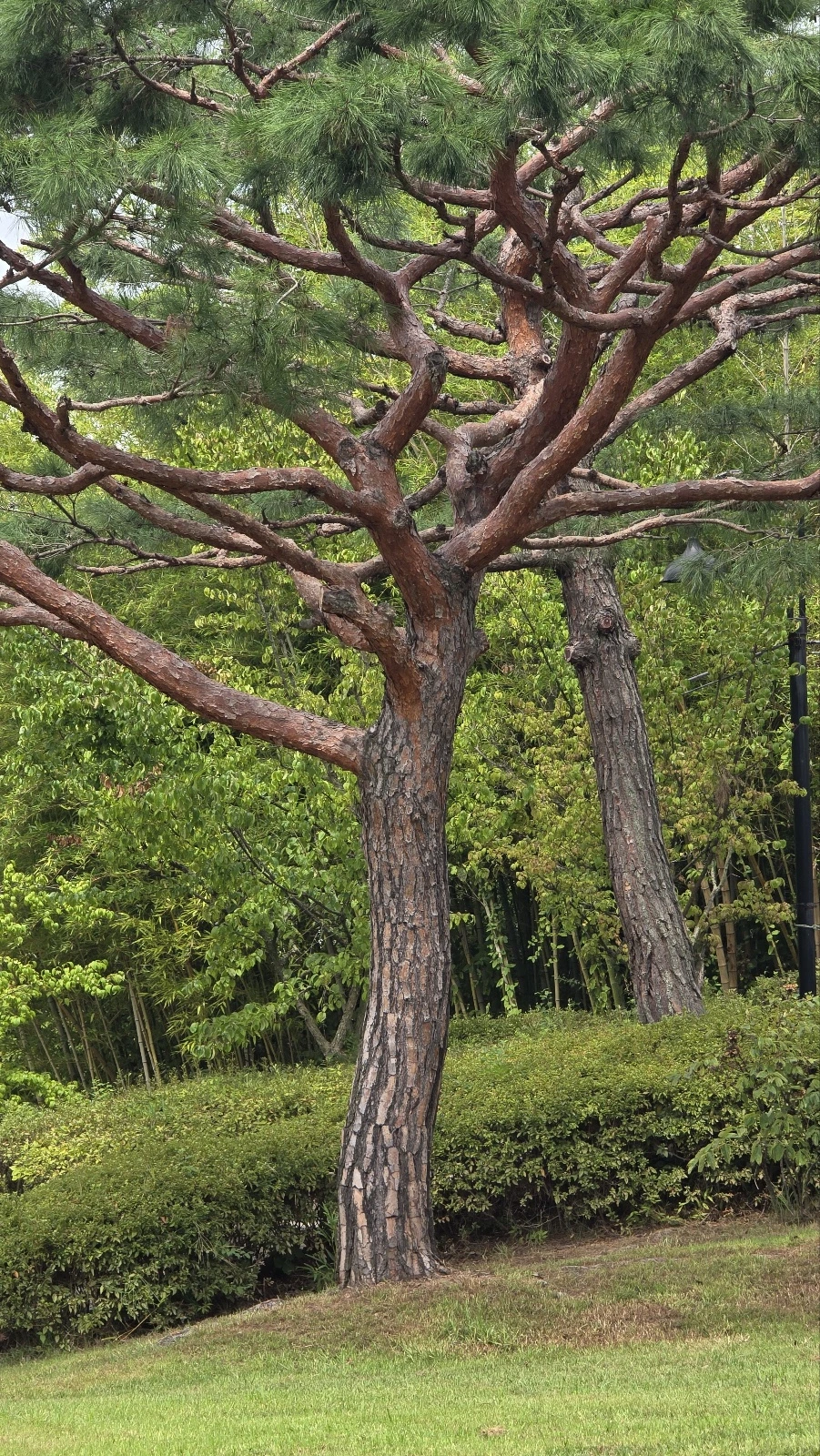 8. 라한호텔셀렉트, 경주숙소추천, 경주호텔추천, 경주여행숙소, 라한호텔수영장, 라한호텔조식oTalk_Photo_2024-10-09-23-13-07 002.jpeg