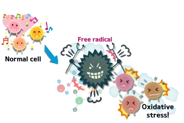 %EB%A7%A4%EA%B1%B0%EC%A7%8429_%ED%9D%A1%EC%97%B0_%EC%82%B0%ED%99%94%EC%8A%A4%ED%8A%B8%EB%A0%88%EC%8A%A4.jpg?type=w1