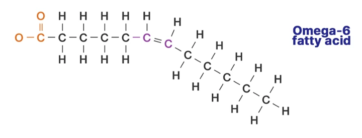 %EA%B7%B8%EB%A6%BC4_%EC%98%A4%EB%A9%94%EA%B0%806%EA%B5%AC%EC%A1%B0%EB%8F%84.jpg?type=w1