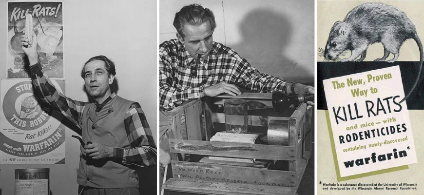 WARFARIN_KarlPaulLink.jpg?type=w1