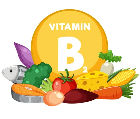 SE-1692e817-bfc7-4e9c-9461-0e07a0e2fd68.png?type=w1