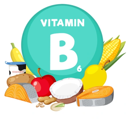 SE-a611ca02-c859-4b82-b3ff-21036b7f7ac2.png?type=w1