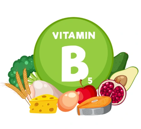 SE-2baaec10-edec-4635-b3bb-eb6d386a8edd.png?type=w1